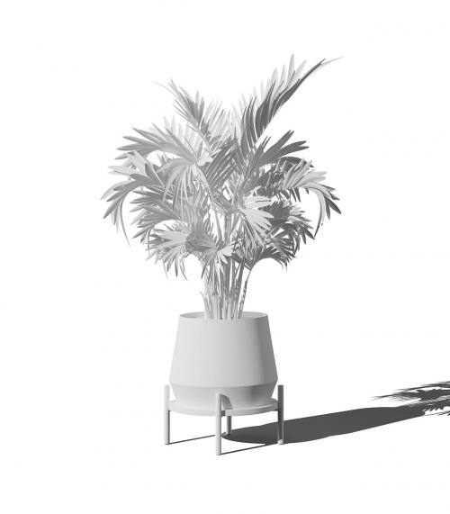 Creatoom -  Clay Areca Palm In Pot V4 Front View