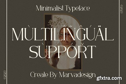 Minorid - A Modern Serif Font W3W825P