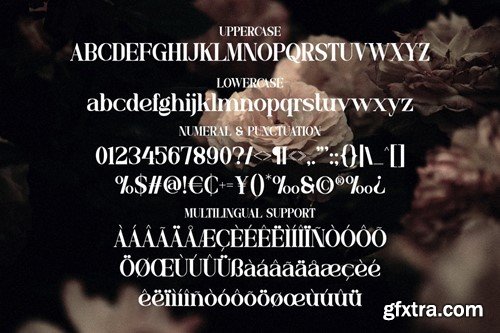 Hugedira - Elegant Serif Display Font P9HLZJ2