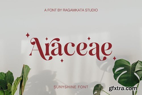 Sunyshine - Modern Elegant Typeface PM9RQ9F