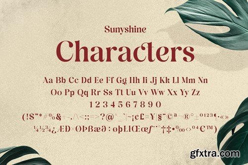 Sunyshine - Modern Elegant Typeface PM9RQ9F