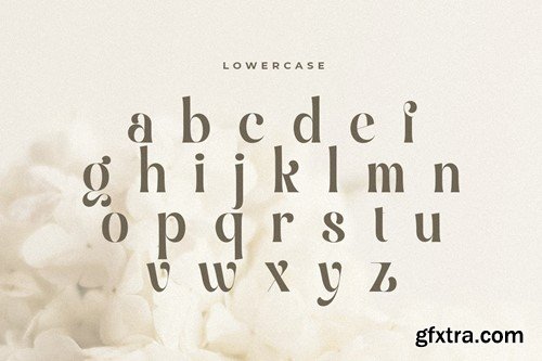 Balfira - Classic Modern Font PG736JW