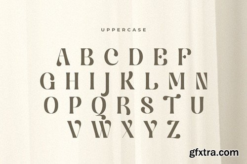 Balfira - Classic Modern Font PG736JW