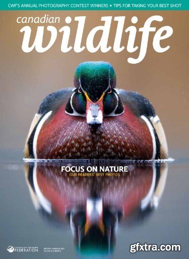 Canadian Wildlife - January/February 2024