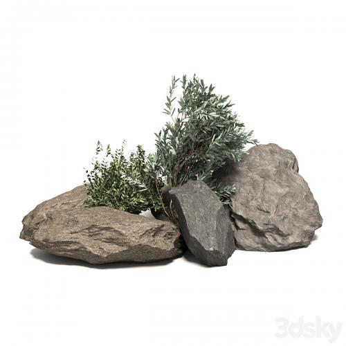 Stone + Bush Pack 6