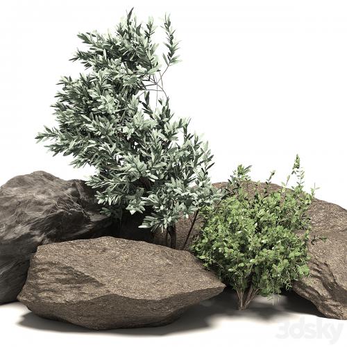 Stone + Bush Pack 6