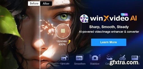 Winxvideo AI 3.1 Portable