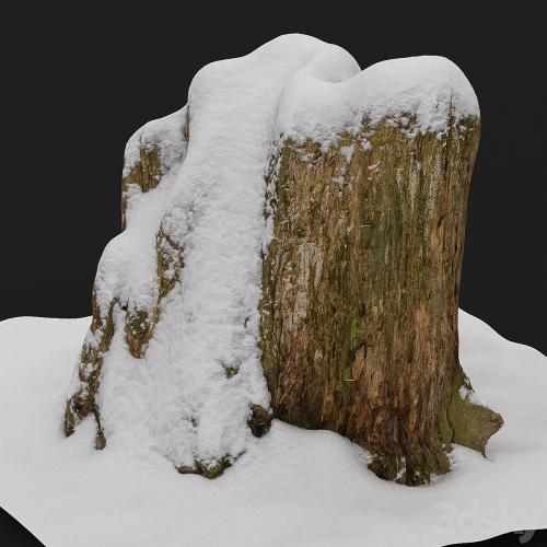 Stump under the snow