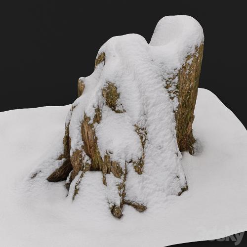 Stump under the snow