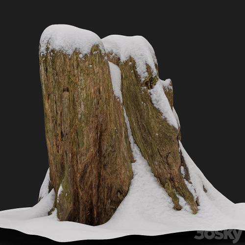 Stump under the snow