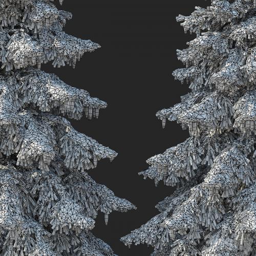 Winter spruces (Winter spruces)