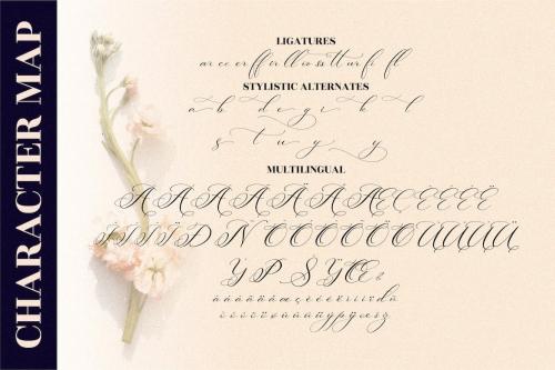 Berlishanty Calligraphy Beautiful Script