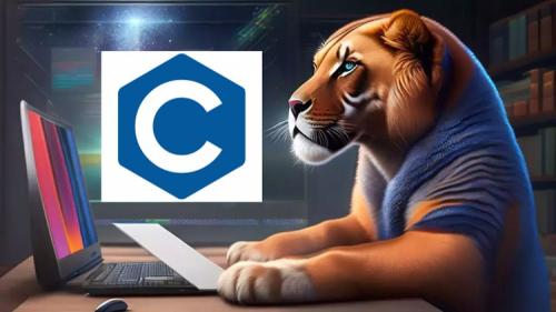 Udemy - Mastering Pointers in C : A Course on Efficient Programming