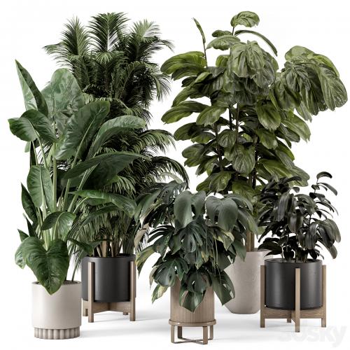 Indoor Plants in Ferm Living Bau Pot Large - Set 1361