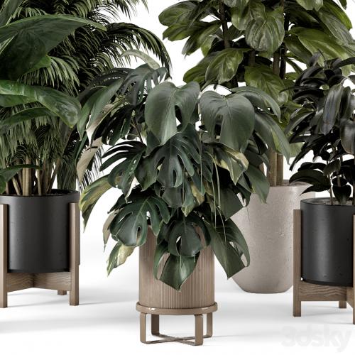 Indoor Plants in Ferm Living Bau Pot Large - Set 1361