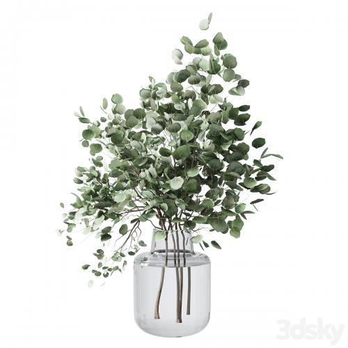 Collection Green Plants Bouquet Indoor 12