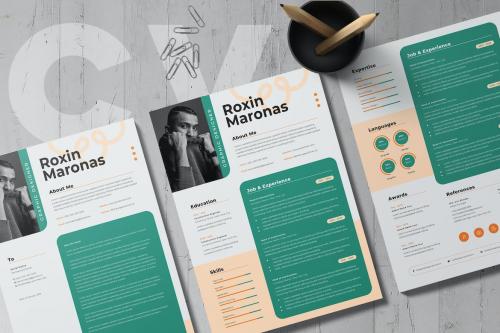 Professional Resume Template