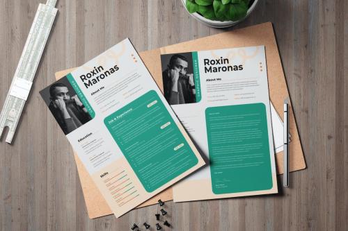 Professional Resume Template