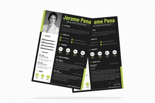 Modern Resume CV