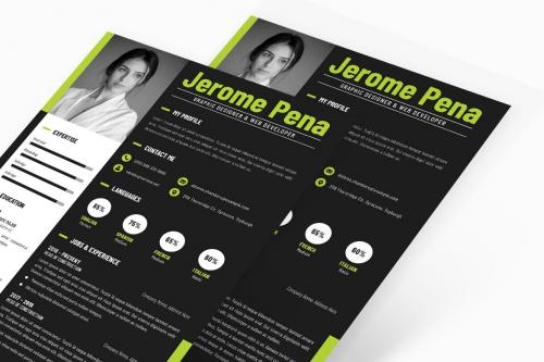 Modern Resume CV