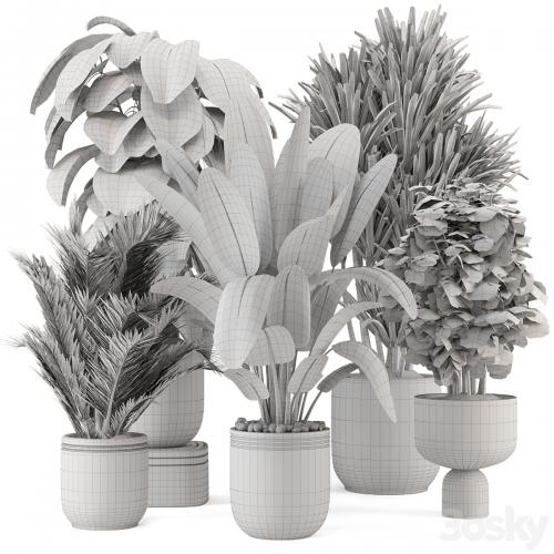 Indoor Plants in rusty Concrete Pot - Set 1331