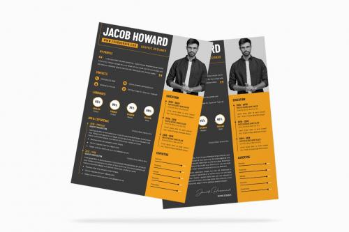 Modern Resume CV