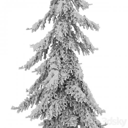 Winter Norway Spruce 02