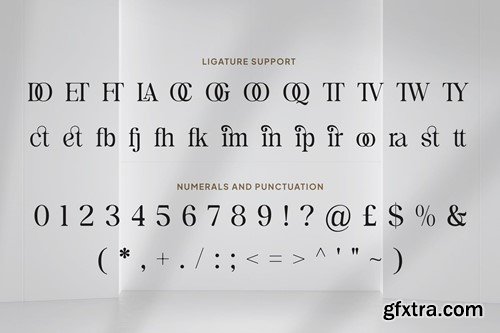 Artisandra - A Display Serif CE9VCVQ