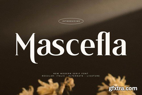 Mascefla New Modern Serif Font XPMXJ3W