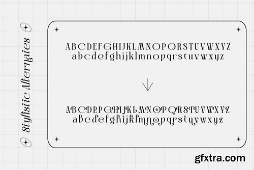 Authen Chastro Serif & Elegan Italic DPYKWJC