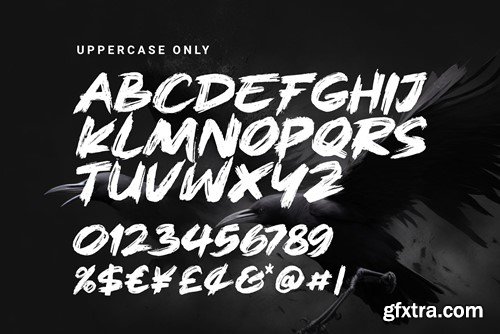 Rough Splash - Brush Font L8LXRP6