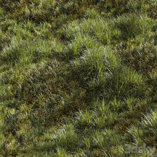 Meadow Lawn Grassland Set 002