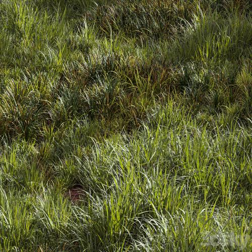 Meadow Lawn Grassland Set 002