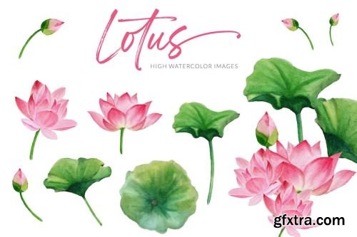 Flowers Vector Pack 14xAI