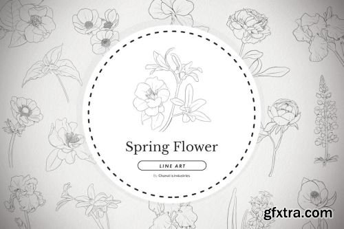 Flowers Vector Pack 14xAI