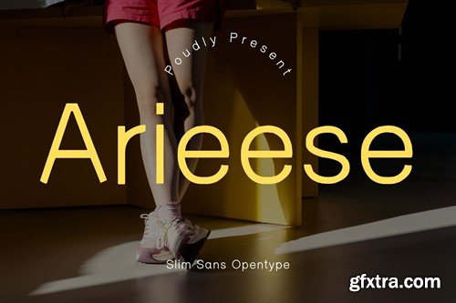 Arieese Modern Sans Typeface 3LVGCXQ