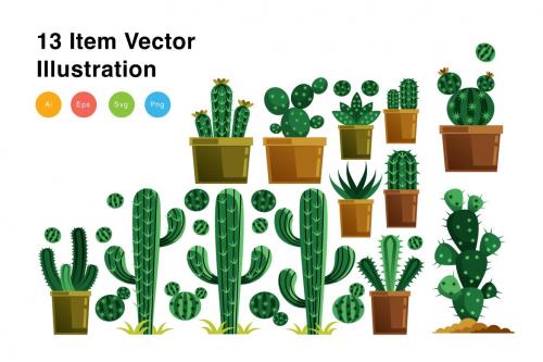 Cactus Elements Vector Illustration