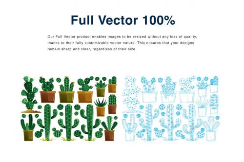 Cactus Elements Vector Illustration