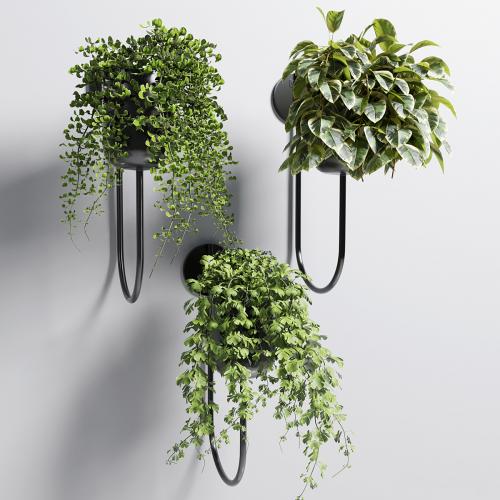 collection Indoor plant 101 vase metal stand wall plant