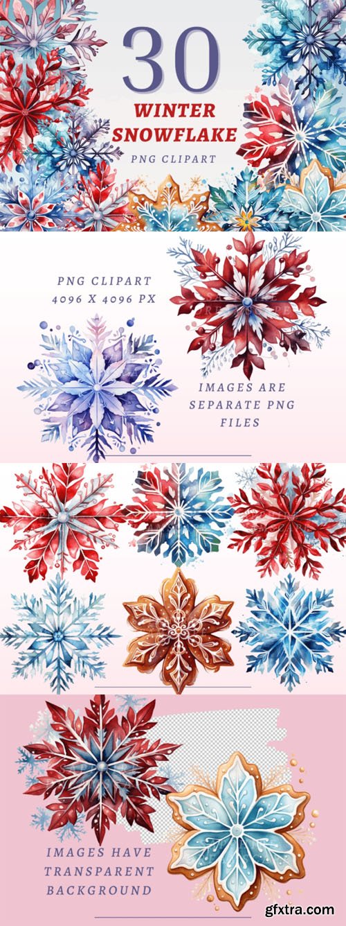 30 Winter Snowflakes PNG Bundle