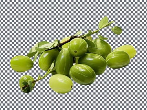 Fresh Non Pareil Capers Isolated On A Transparent Background