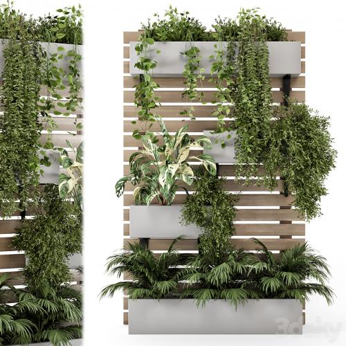 Indoor Hanging Plants in Metal Stand - Set 1131