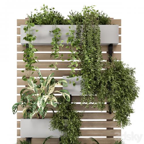 Indoor Hanging Plants in Metal Stand - Set 1131