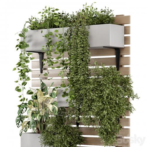 Indoor Hanging Plants in Metal Stand - Set 1131