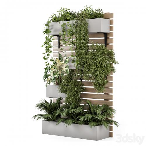 Indoor Hanging Plants in Metal Stand - Set 1131