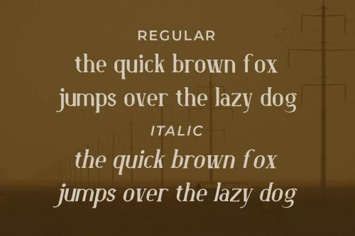 Portile Elegant Serif Font