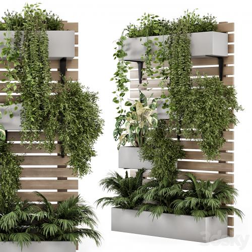 Indoor Hanging Plants in Metal Stand - Set 1131