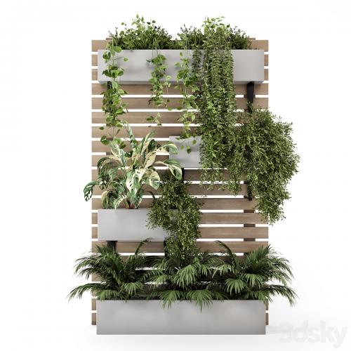 Indoor Hanging Plants in Metal Stand - Set 1131