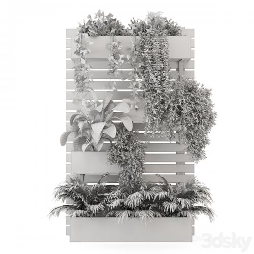 Indoor Hanging Plants in Metal Stand - Set 1131