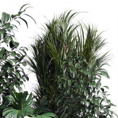 indoor plant set 308 pot palm ficus rubbery monstera concrete dirt vase